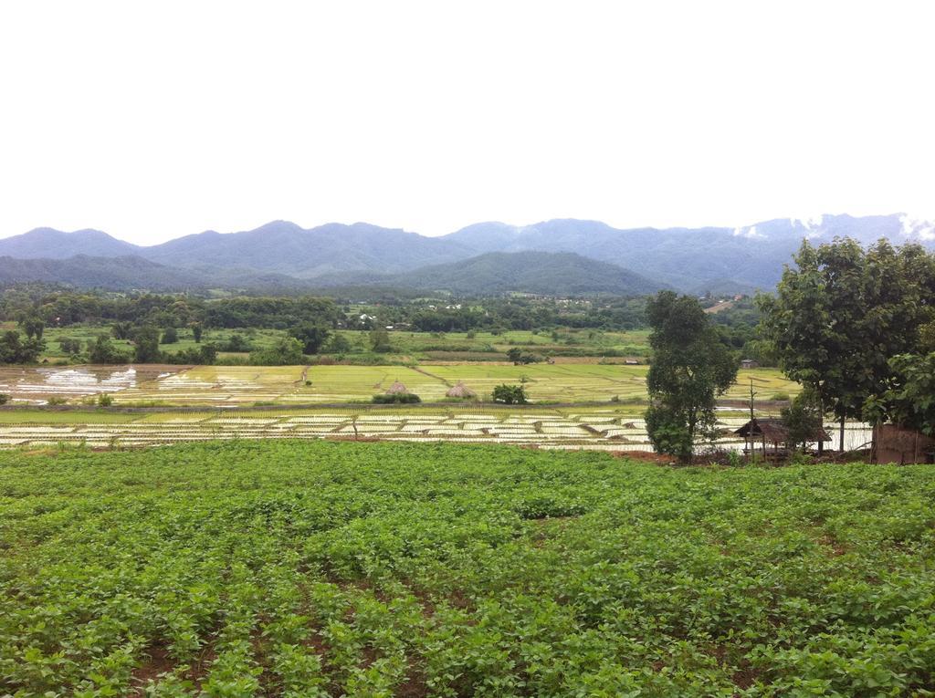 Chang Pai Garden (Adults Only) Luaran gambar