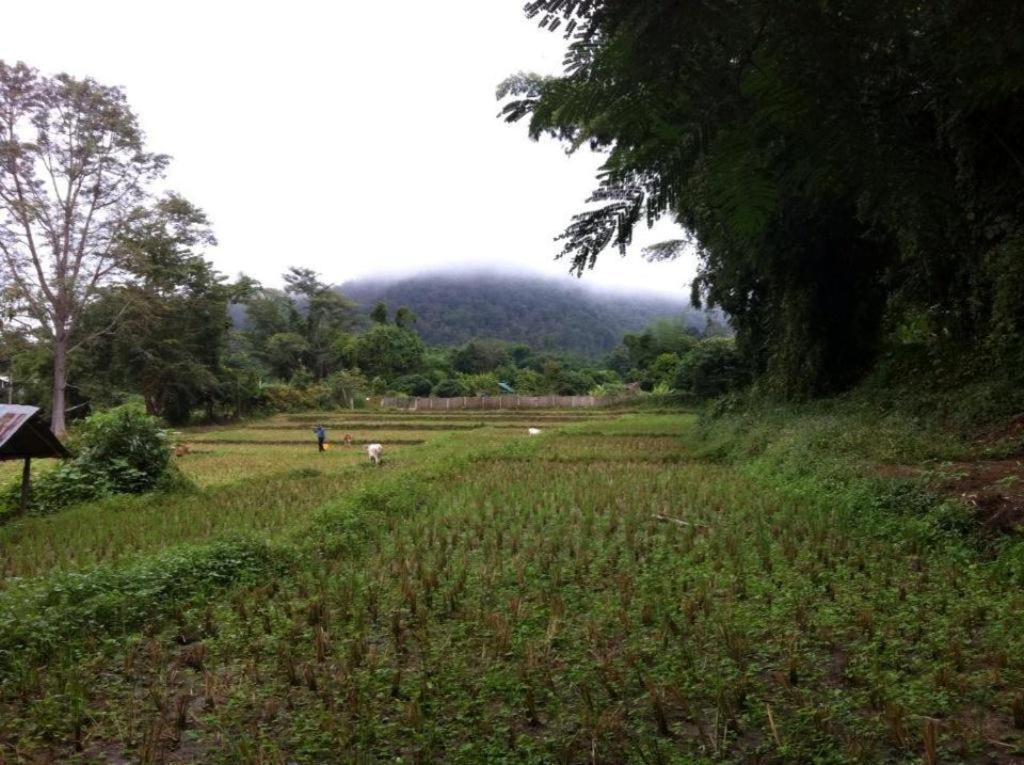 Chang Pai Garden (Adults Only) Luaran gambar