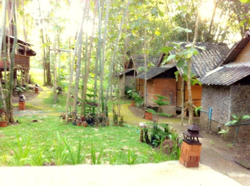 Chang Pai Garden (Adults Only) Luaran gambar